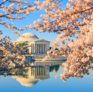 Meet your Posher, Lydia